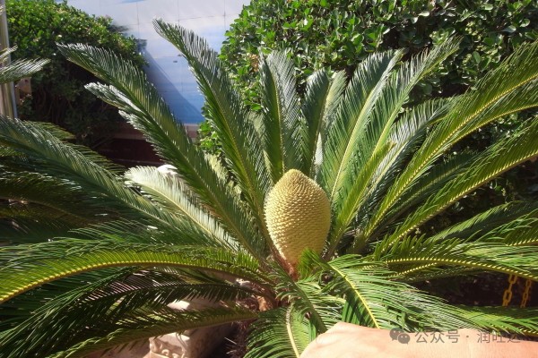 1749605859764092.jpg 微信圖片_20250611090202.jpg